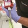 collision repair adhesives