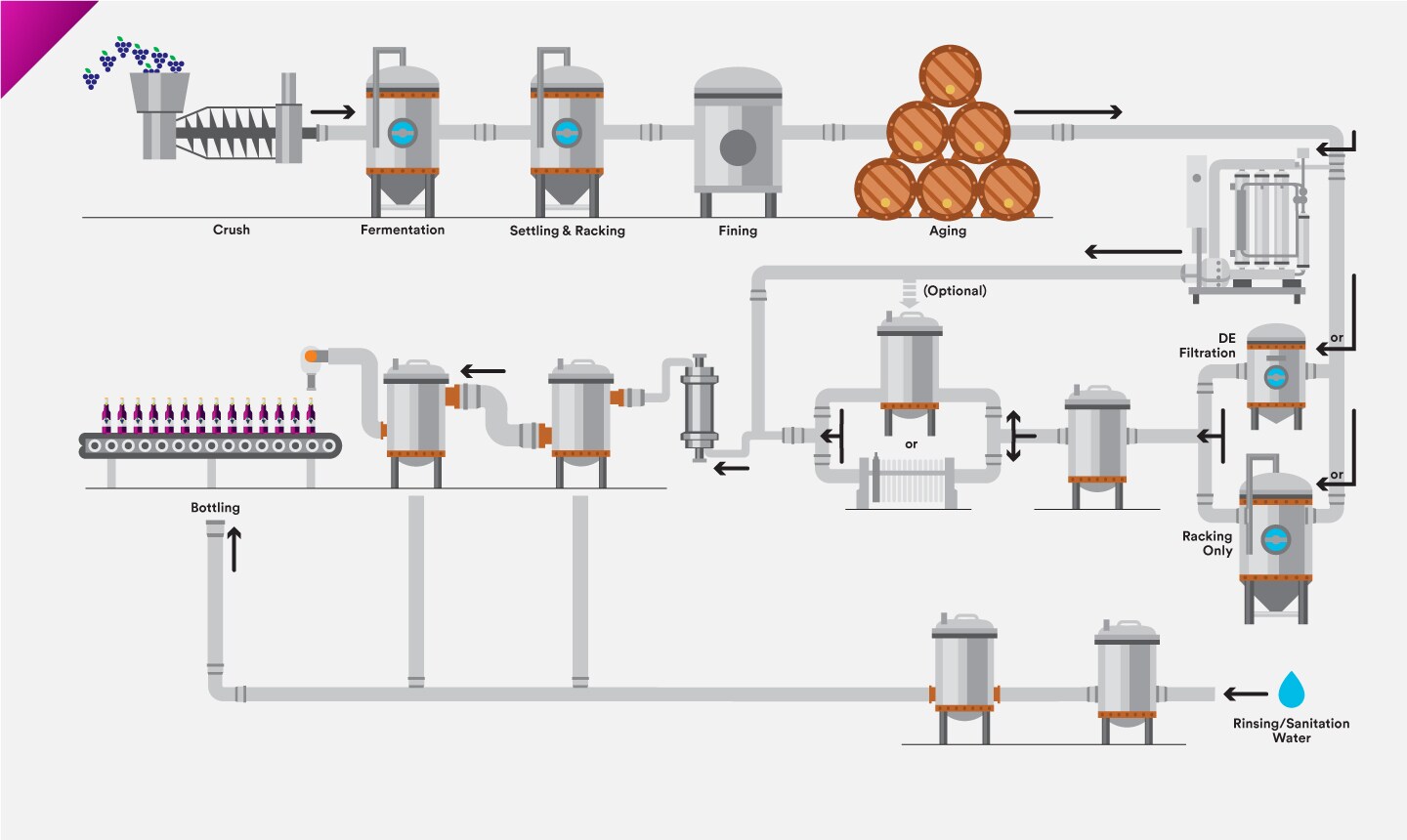 Infographic of winemaking process
