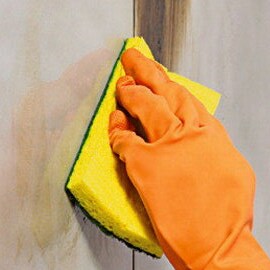 General Purpose Scouring Sponges ฟองน้ำขัดอเนกประสงค์
