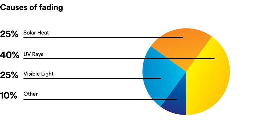 pie chart with text
