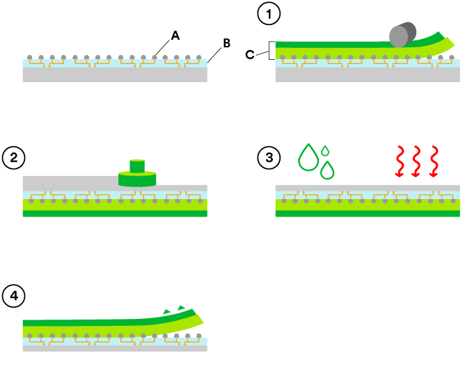 Step-by-step graphic of the process flow for BGBM with bumped wafer.
