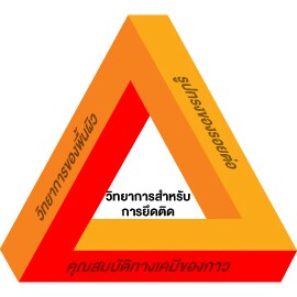 ปัจจัยที่มีผลต่อการยึดติด