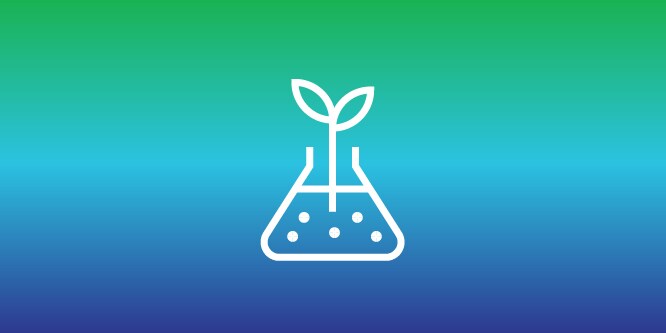 ภาพพืชในขวดทดลอง แสดงถึงความมุ่งมั่นของ 3M ในการพัฒนาวัสดุและผลิตภัณฑ์กราฟิกที่ยั่งยืน
